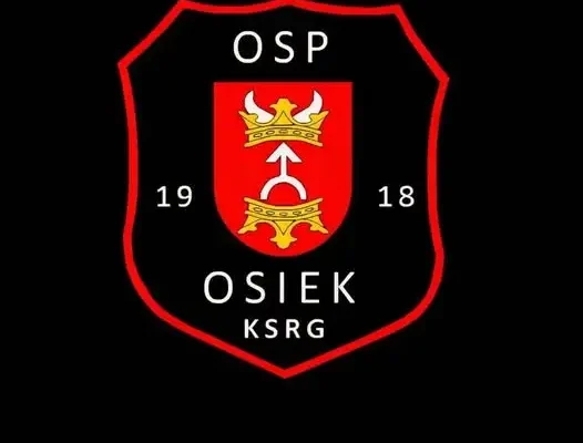 Zderzenie na DW560 w Osieku. Interweniowały cztery zastępy i dwa zespoły ratownictwa