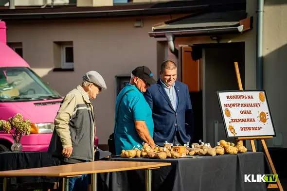 Święto Ziemniaka w Niezwycięciu – ziemniaczane atrakcje i zabawa do północy