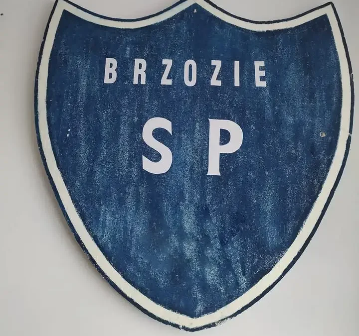 Uczniowie klas I–III z Brzozia świecili przykładem w akcji „Odblaskowa Szkoła 2026”