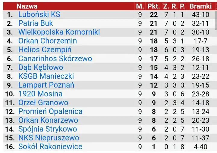 Red Box Klasa Okręgowa grupa 3: Luboński KS liderem po 9 kolejkach