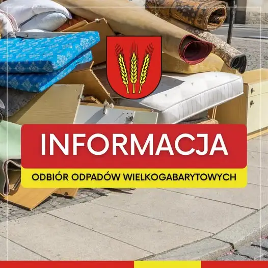 Jabłonowo Pomorskie: odbiór odpadów wielkogabarytowych i elektroodpadów już 10 października