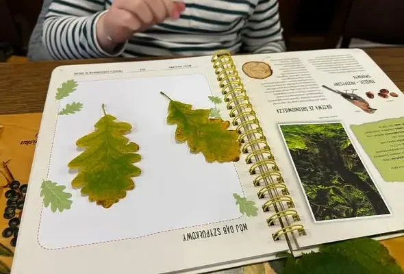 Klasa 2B odkrywała jesienne skarby w Brodnickim Parku Krajobrazowym