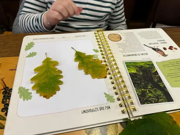 Klasa 2B odkrywała jesienne skarby w Brodnickim Parku Krajobrazowym