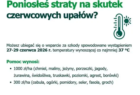 Rolnicy mogą składać wnioski o pomoc po przymrozkach, gradzie i upałach – nabór do 16 listopada